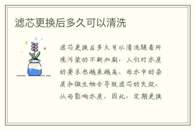 滤芯更换后多久可以清洗(滤芯更换后多久可以清洗一次)