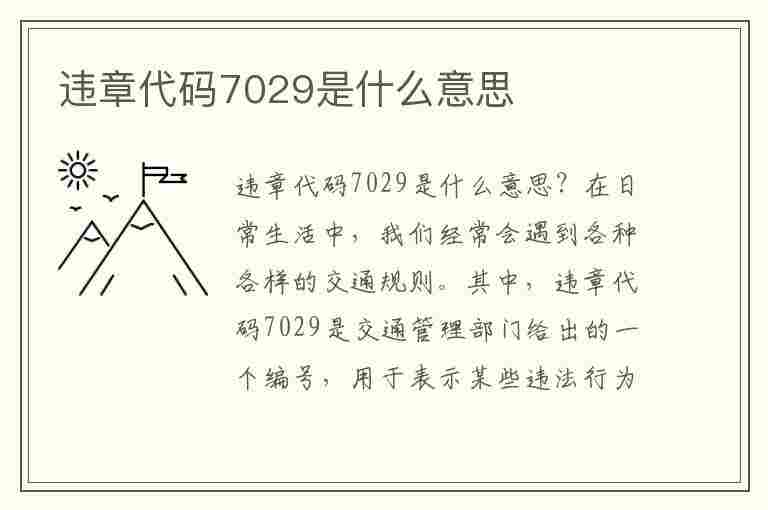 违章代码7029是什么意思