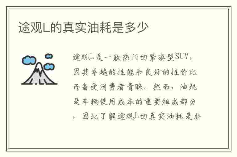 途观L的真实油耗是多少(途观l的真实油耗是多少钱)