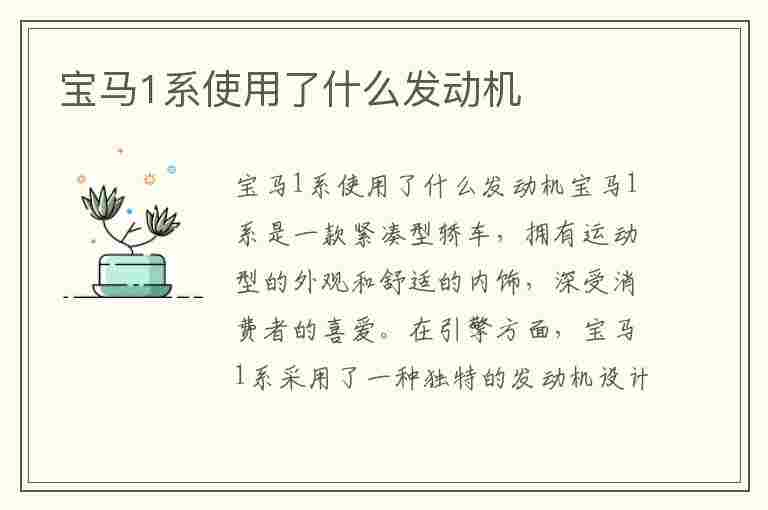 宝马1系使用了什么发动机(宝马1系使用了什么发动机型号)