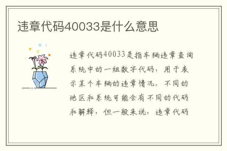 违章代码40033是什么意思(违章代码40033是什么意思啊)