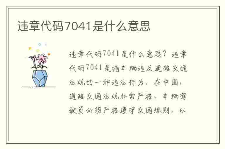 违章代码7041是什么意思