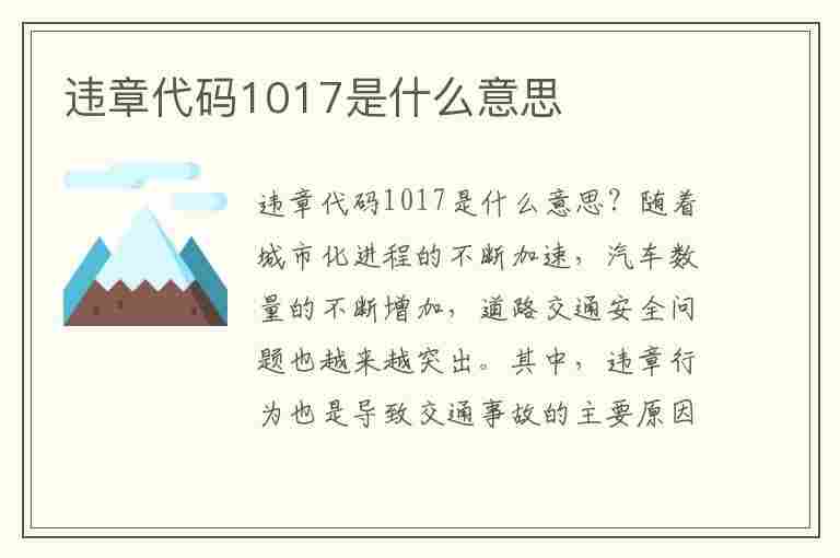 违章代码1017是什么意思(违章代码1017是什么意思)