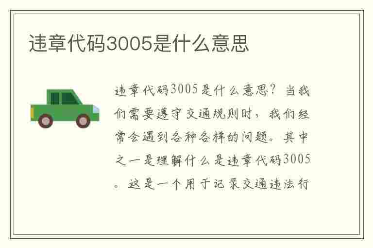 违章代码3005是什么意思