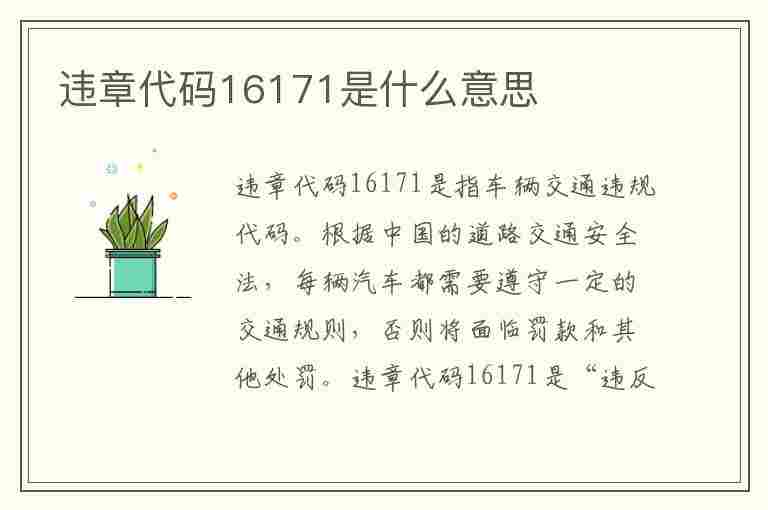 违章代码16171是什么意思(违章代码16171是什么意思啊)