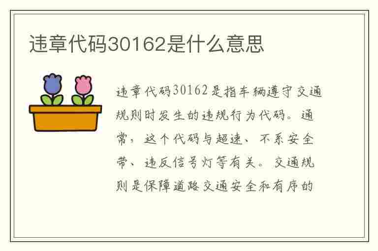 违章代码30162是什么意思(违章代码30162是什么意思啊)