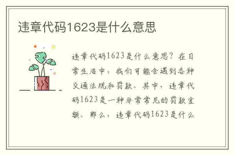 违章代码1623是什么意思