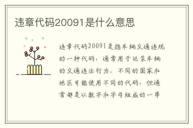 违章代码20091是什么意思