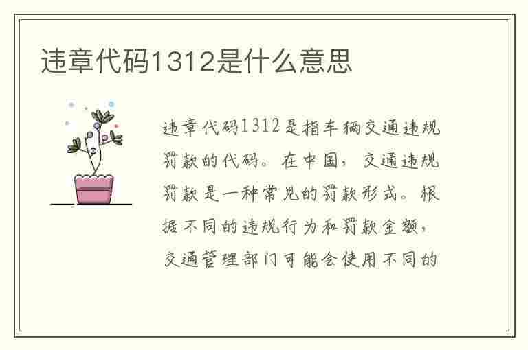 违章代码1312是什么意思