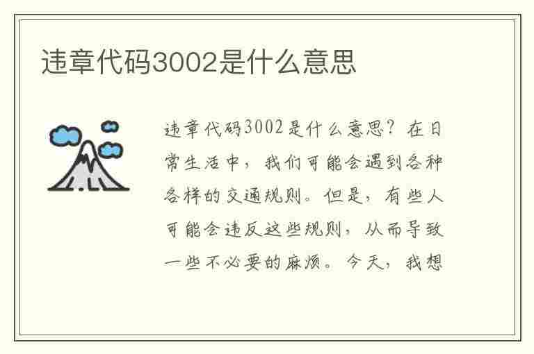 违章代码3002是什么意思