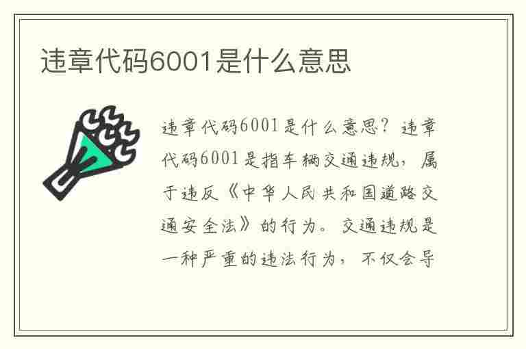 违章代码6001是什么意思(违章代码6001是什么意思啊)