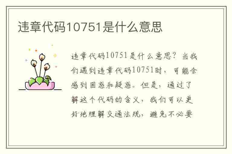 违章代码10751是什么意思(违章代码10751是什么意思啊)