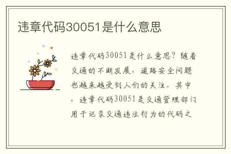 违章代码30051是什么意思(违章代码30051是什么意思啊)