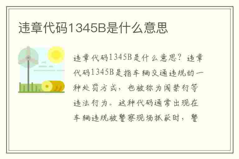 违章代码1345B是什么意思(违章代码1345b是什么意思啊)