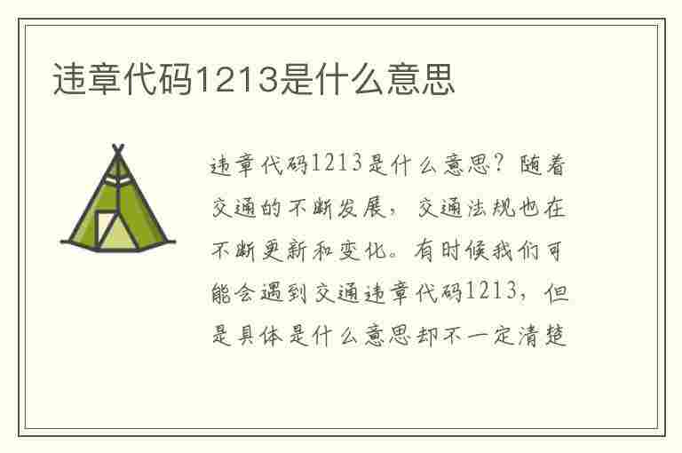 违章代码1213是什么意思(违章代码1213是什么意思啊)