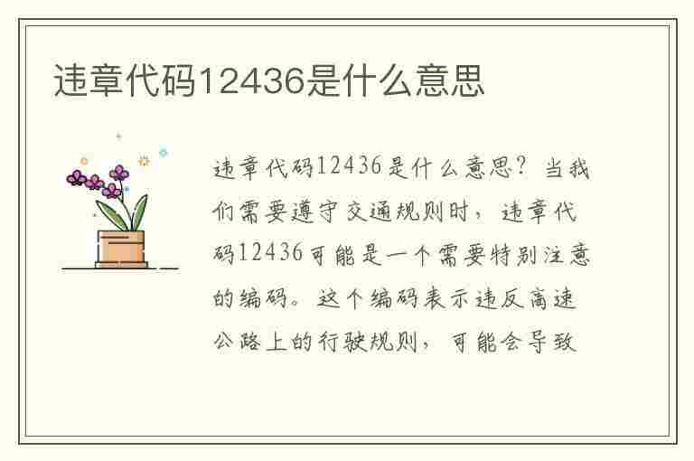 违章代码12436是什么意思(违章代码12436是什么意思啊)