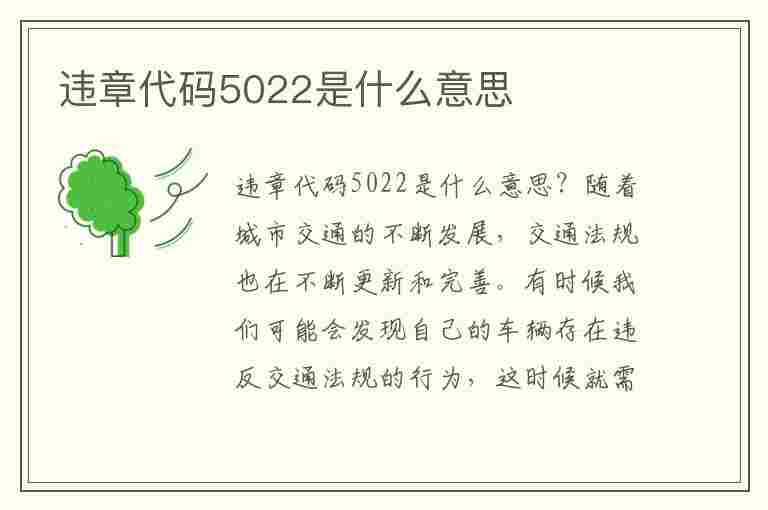 违章代码5022是什么意思(违章代码5022是什么意思啊)