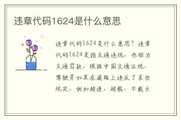 违章代码1624是什么意思(违章代码1624是什么意思啊)