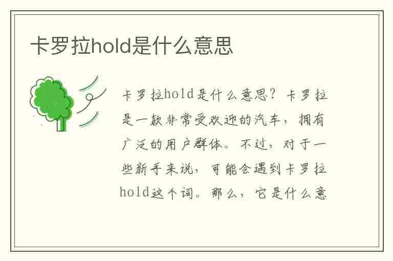 卡罗拉hold是什么意思(丰田卡罗拉hold是什么意思)