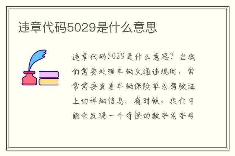 违章代码5029是什么意思