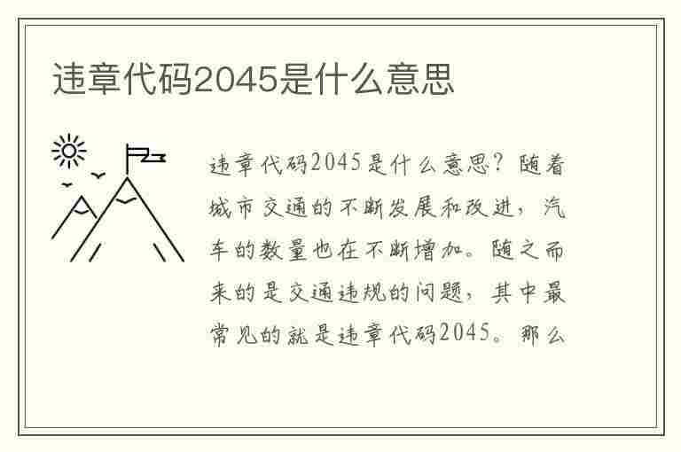 违章代码2045是什么意思(违章代码2045是什么意思啊)