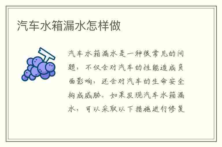 汽车水箱漏水怎样做(汽车水箱漏水怎样做防护措施)