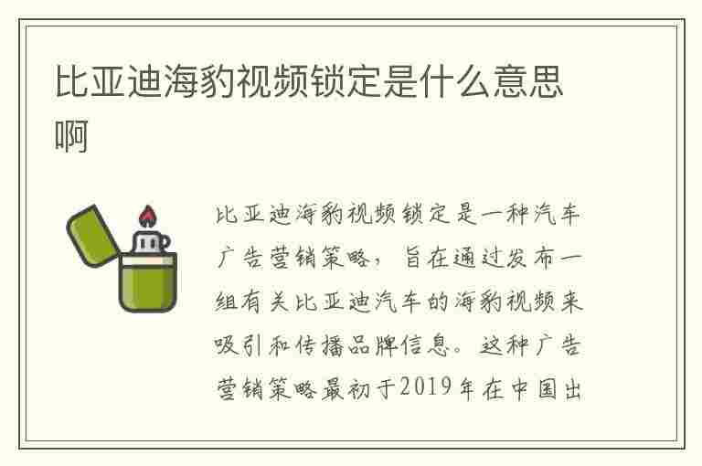 比亚迪海豹视频锁定是什么意思啊