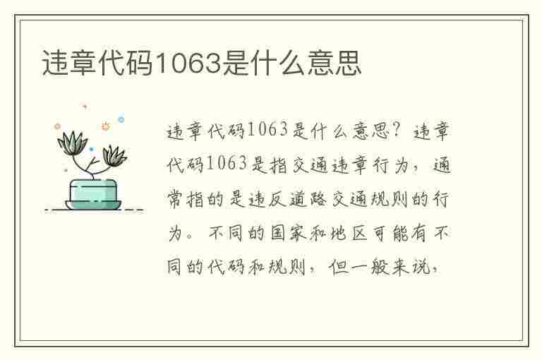 违章代码1063是什么意思(违章代码1063是什么意思啊)