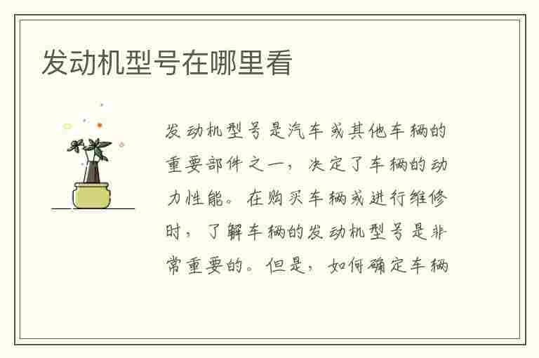 发动机型号在哪里看(车辆发动机型号在哪里看)