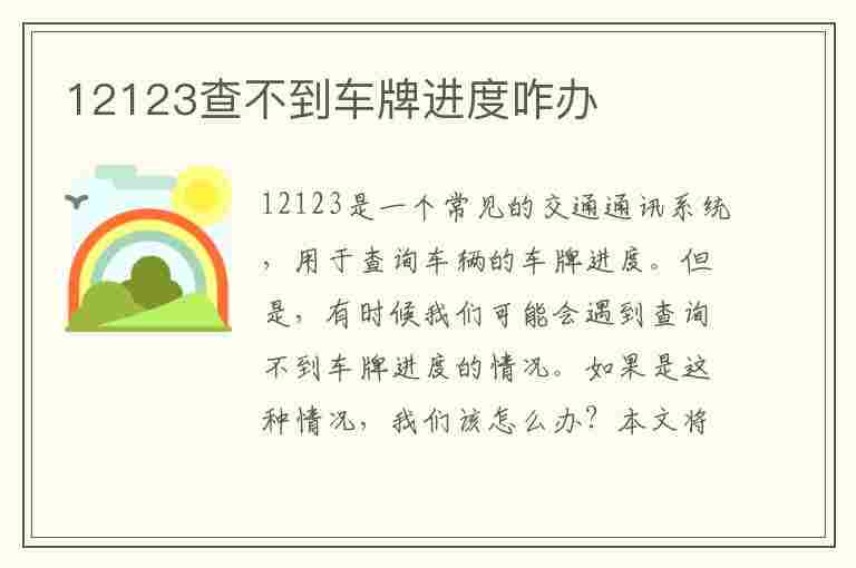 12123查不到车牌进度咋办(车牌进度查不到急死了)