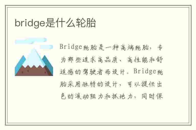 bridge是什么轮胎(BRIDGE是什么轮胎)