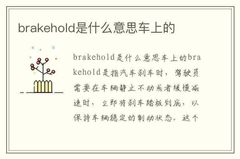 brakehold是什么意思车上的