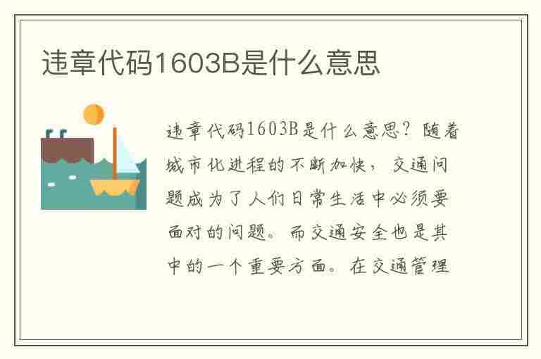 违章代码1603B是什么意思(违章代码1603b是什么意思啊)