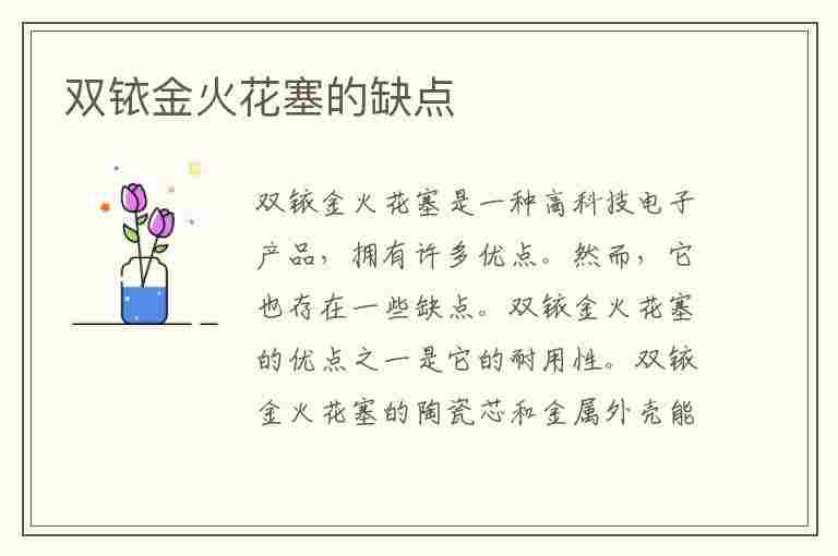 双铱金火花塞的缺点(中国十大火花机品牌)