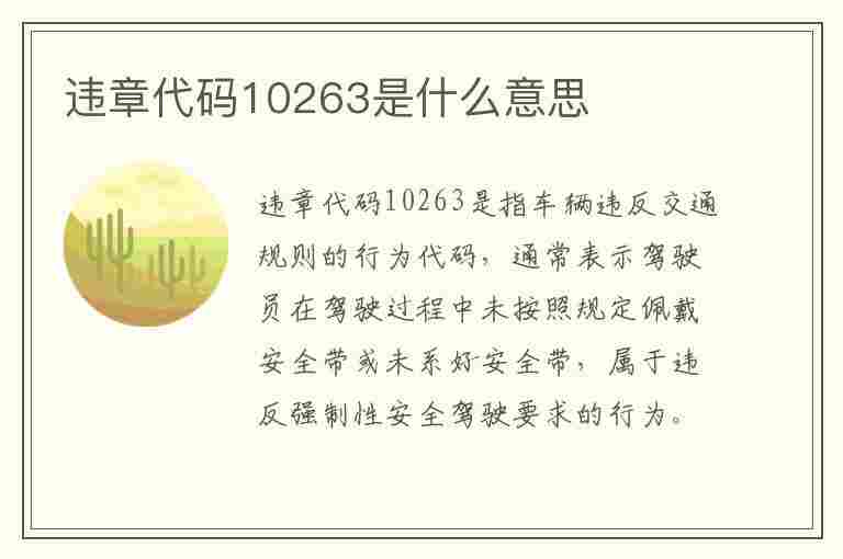 违章代码10263是什么意思