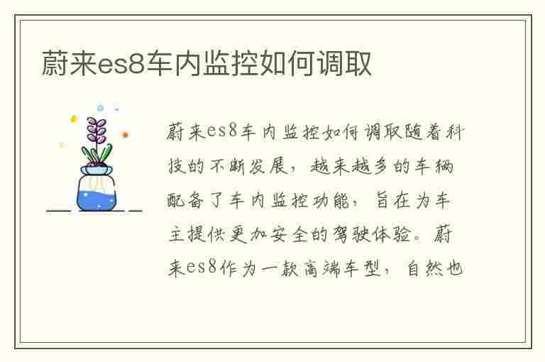 蔚来es8车内监控如何调取(蔚来es8车内监控如何调取视频)