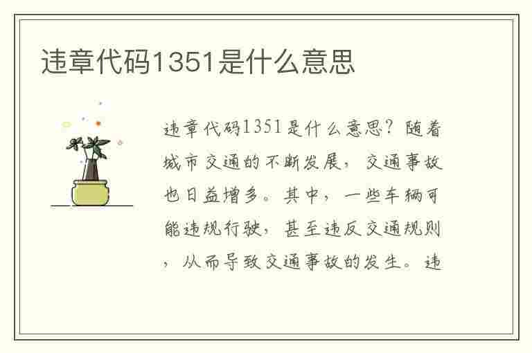 违章代码1351是什么意思