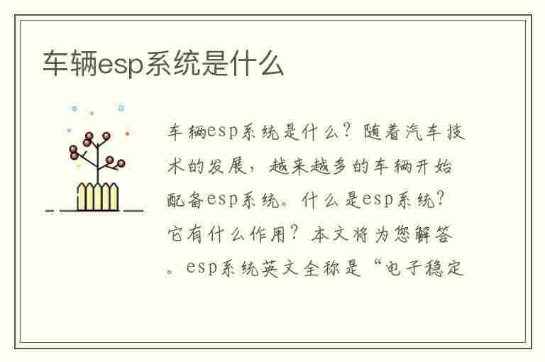 车辆esp系统是什么(车辆esp是什么功能)