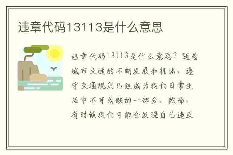 违章代码13113是什么意思(违章代码13113是什么意思啊)