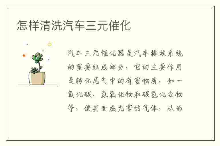 怎样清洗汽车三元催化(怎样清洗汽车三元催化器)