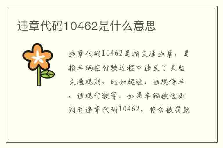 违章代码10462是什么意思(违章代码10462是什么意思啊)