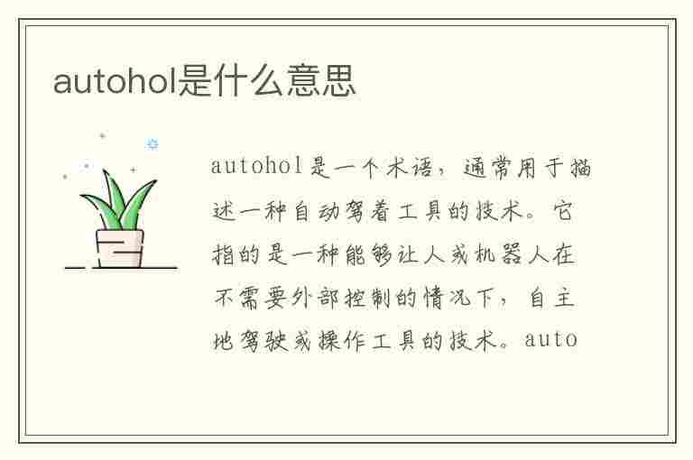 autohol是什么意思(车子AUTOHOLD是什么意思)