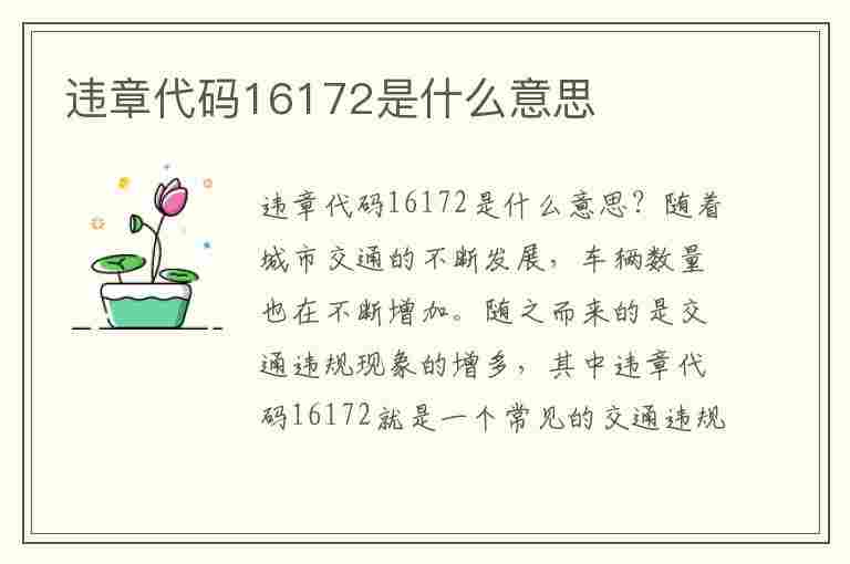 违章代码16172是什么意思(违章代码16172是什么意思啊)