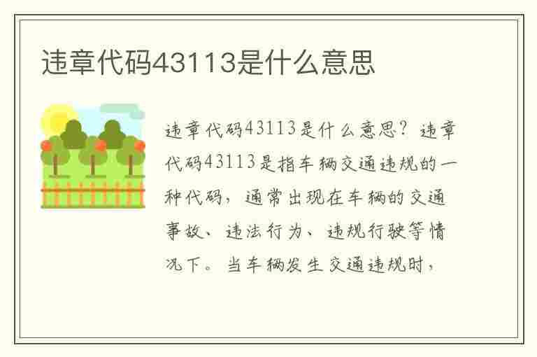 违章代码43113是什么意思