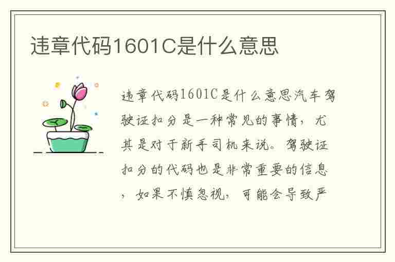 违章代码1601C是什么意思