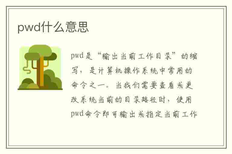 pwd什么意思(汽车pwd什么意思)