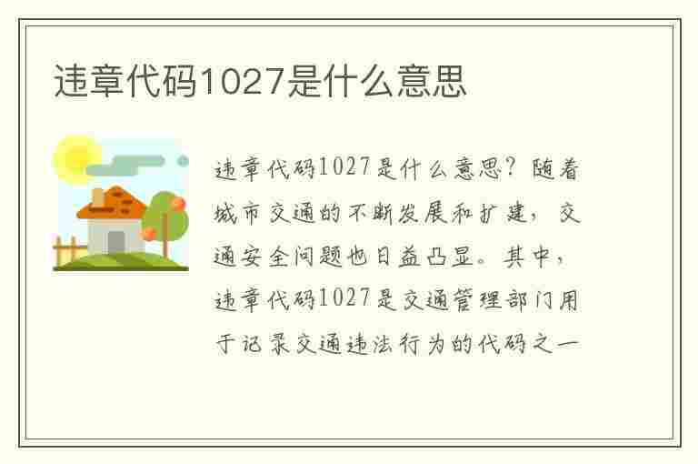 违章代码1027是什么意思