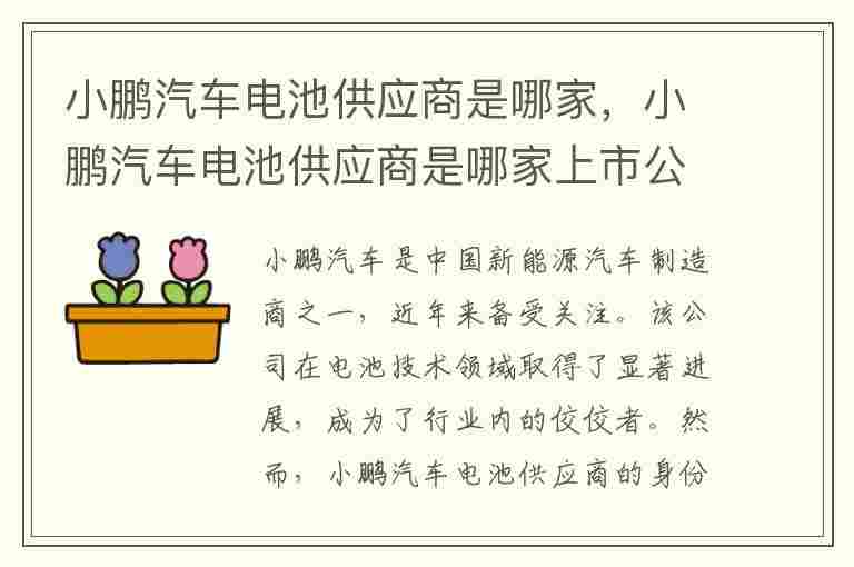 小鹏汽车电池供应商是哪家，小鹏汽车电池供应商是哪家上市公司