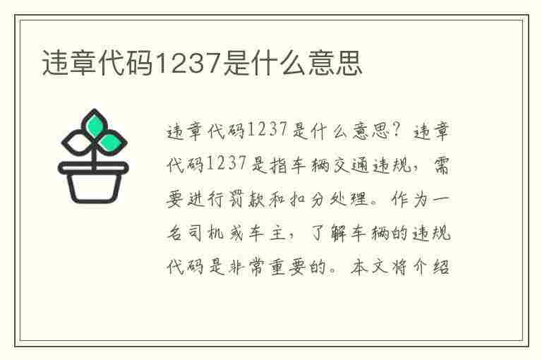 违章代码1237是什么意思(1236违章代码是什么意思)