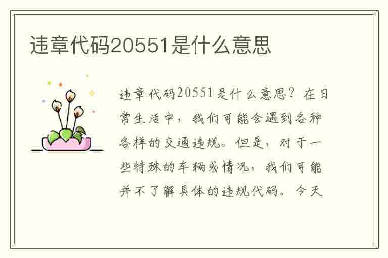 违章代码20551是什么意思(违章代码20551是什么意思啊)